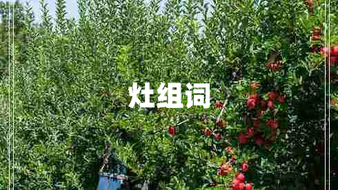 灶组词