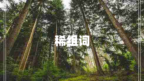 稀组词