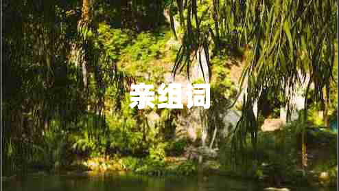 亲组词