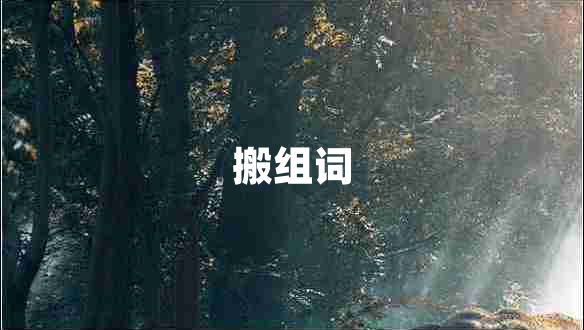 搬组词