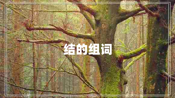 结的组词