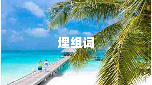 埋组词