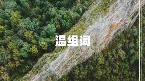 温组词