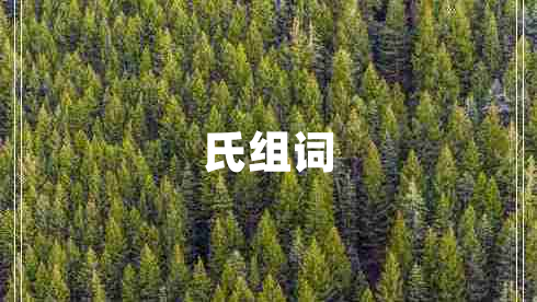 氏组词