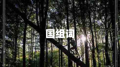 国组词