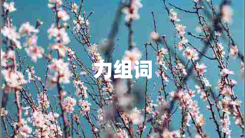 力组词