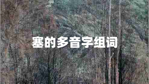塞的多音字组词