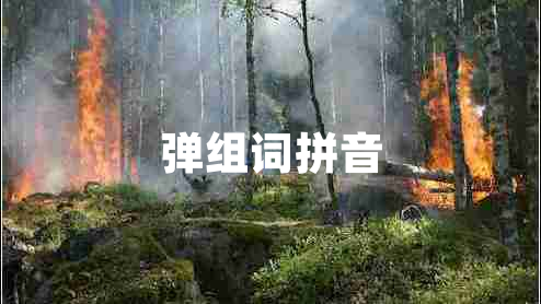 弹组词拼音