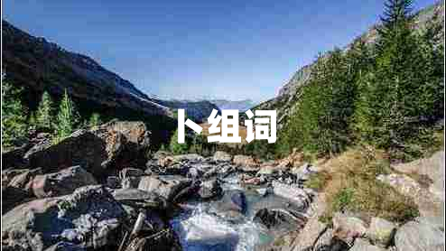 卜组词