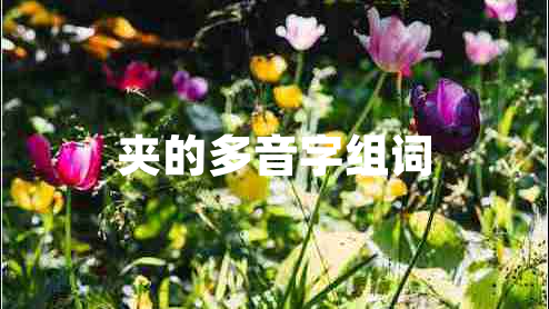 夹的多音字组词