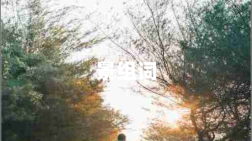 景组词