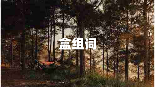 盒组词