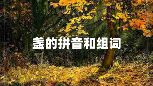 盏的拼音和组词