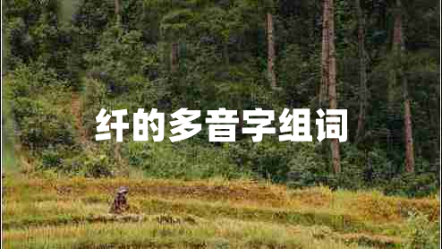 纤的多音字组词