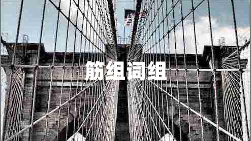 筋组词组