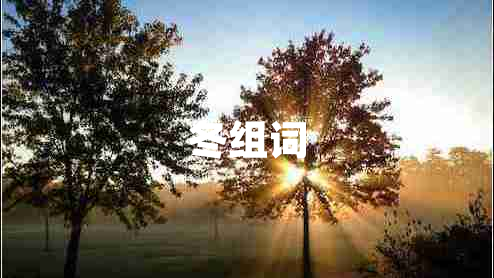 冬组词