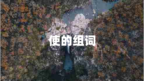 使的组词