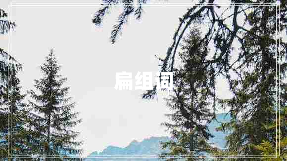 扁组词