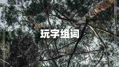 玩字组词