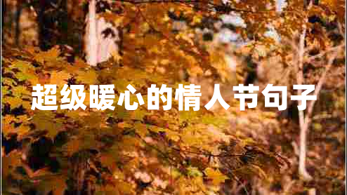 超级暖心的情人节句子