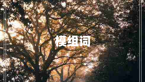 模组词