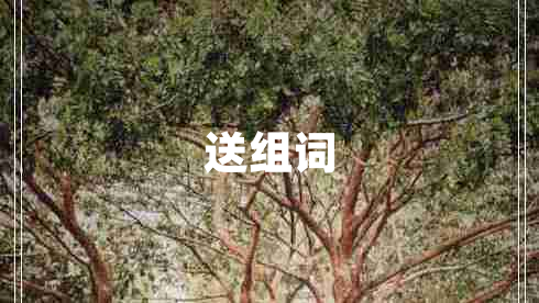 送组词