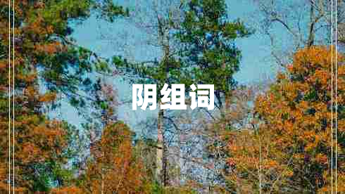 阴组词