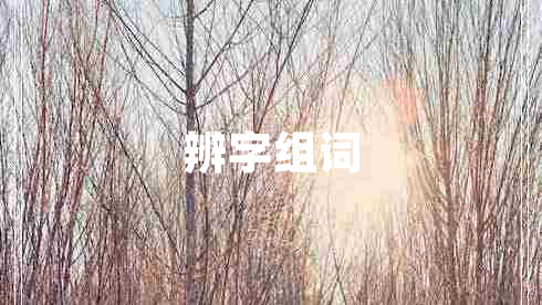 辨字组词