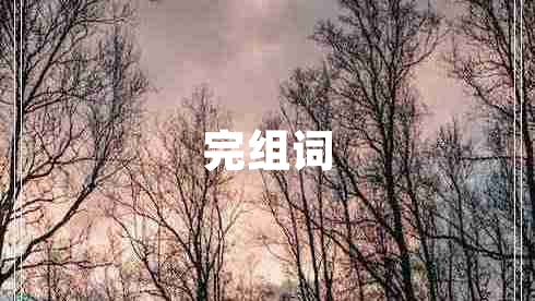 完组词