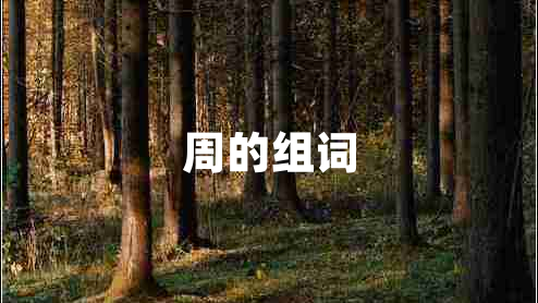 周的组词