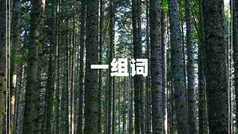 一组词