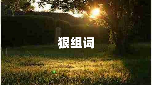 狠组词