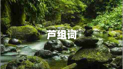 芦组词