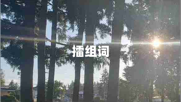 擂组词