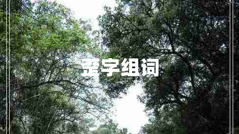 歪字组词