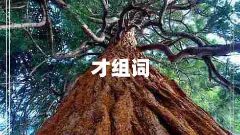 才组词