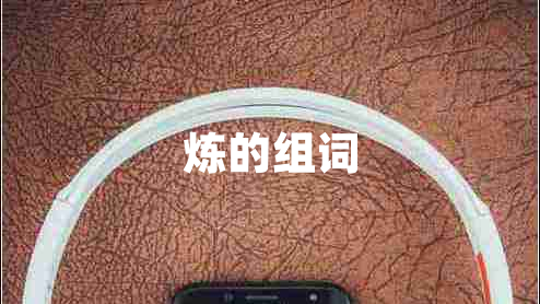 炼的组词