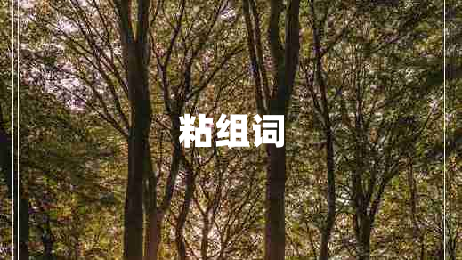 粘组词