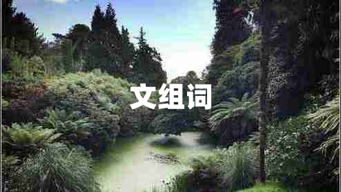 文组词