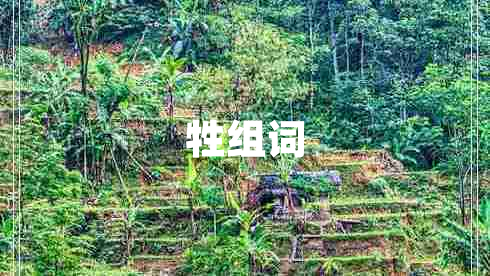 牲组词