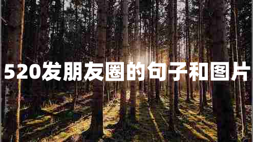 520发朋友圈的句子和图片