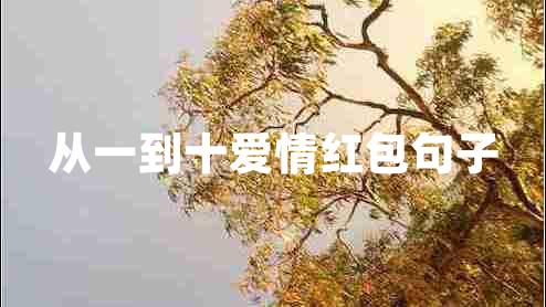 从一到十爱情红包句子