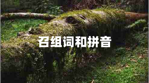 召组词和拼音
