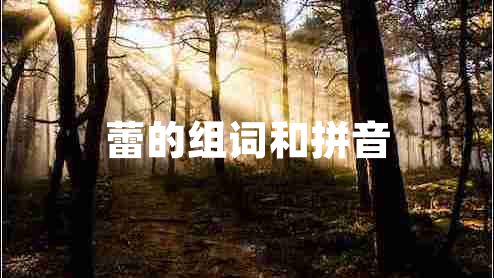 蕾的组词和拼音
