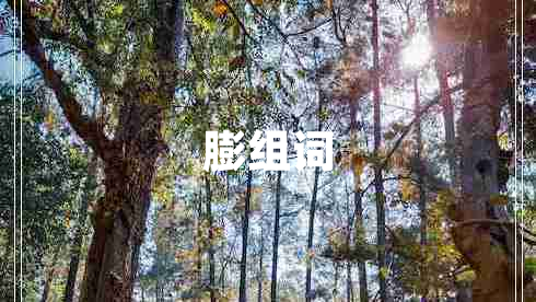 膨组词
