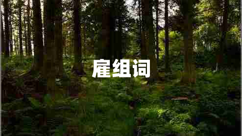 雇组词
