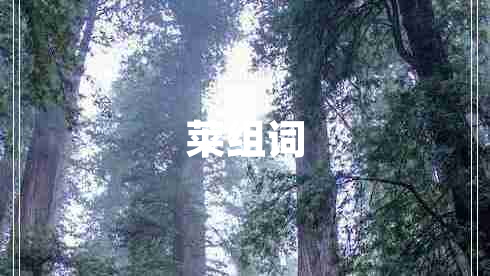 莱组词