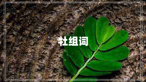 牡组词