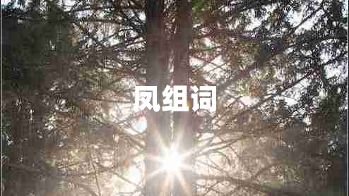 凤组词