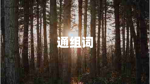 通组词